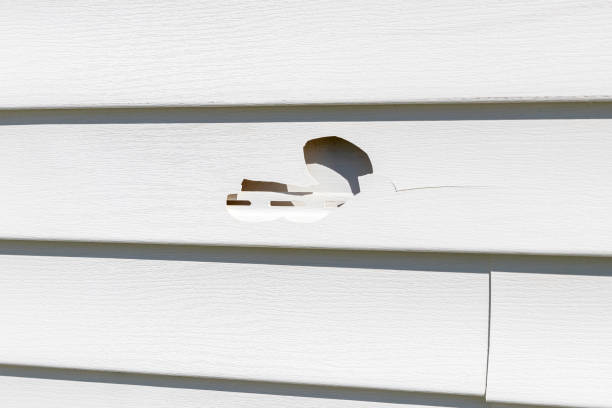 Trusted Lightstreet, PA Junk Removal Experts